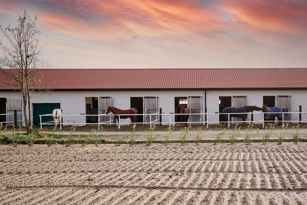 Brussa Horse Oasi Villa Caorle Eksteriør bilde
