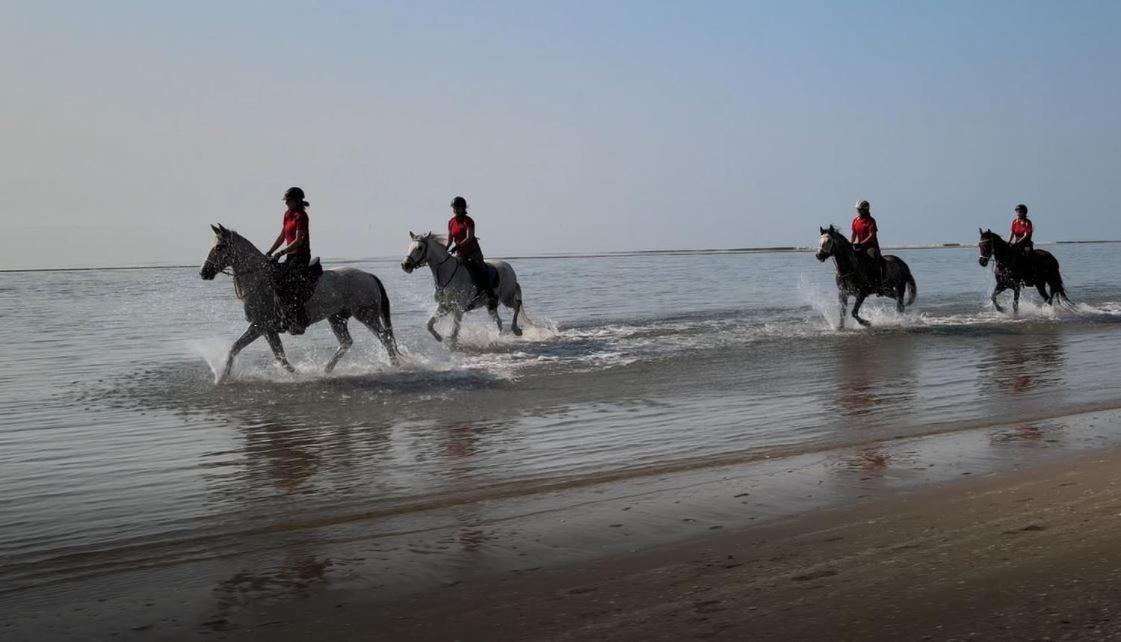 Brussa Horse Oasi Villa Caorle Eksteriør bilde