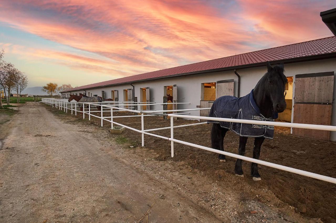 Brussa Horse Oasi Villa Caorle Eksteriør bilde
