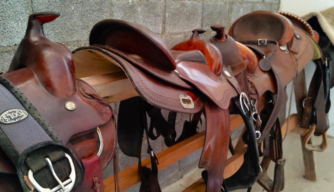 Brussa Horse Oasi Villa Caorle Eksteriør bilde